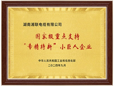 國家級專精特新“小巨人”企業(yè)